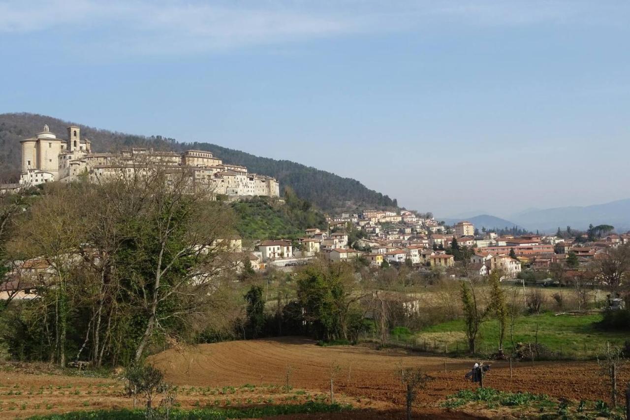 Contigliano La Bottega Del Fabbro Affitto Breveヴィラ エクステリア 写真